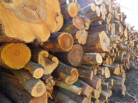 11月12月包裝紙價格將高位震蕩、緩慢上行